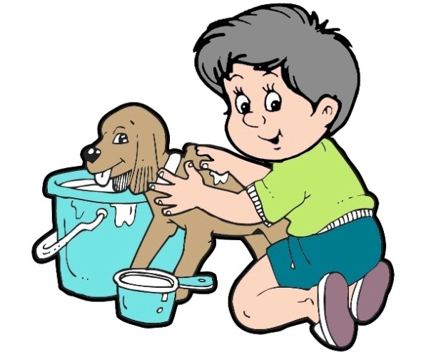 19 washing the dog