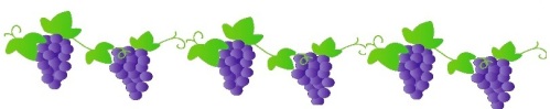 21 grapevine border