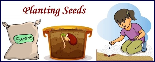 3 Planting seeds - English